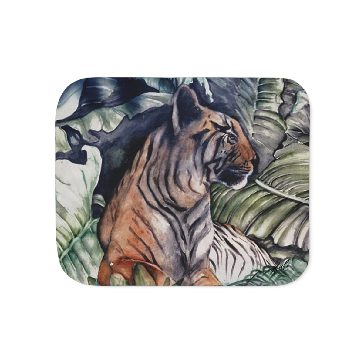 Watchful Warrior Super Snuggly Sherpa Blanket