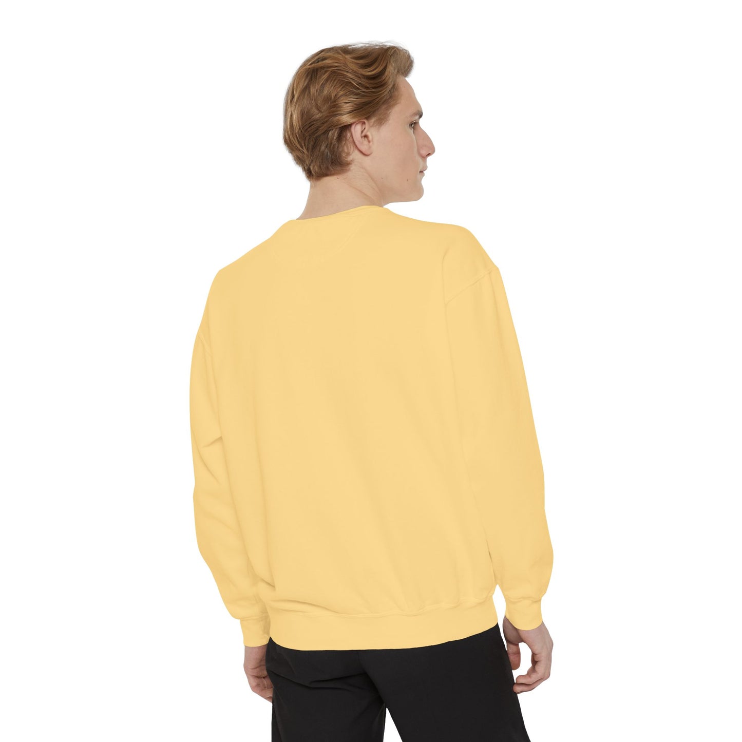 Celestrial Extraterrestrial Unisex Garment-Dyed Sweatshirt